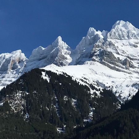 Chalet Hestia Champéry Dış mekan fotoğraf